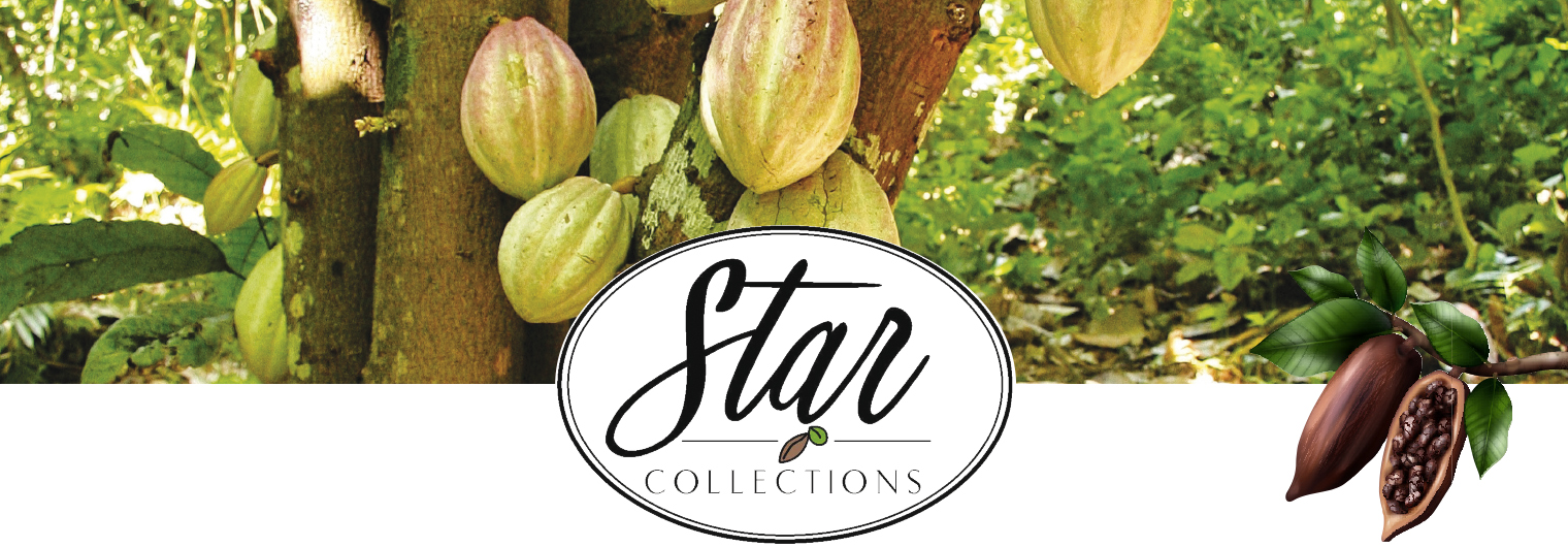 BANDEAU_star