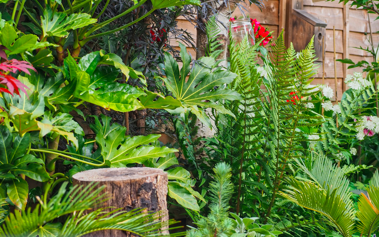 jardin-naturel