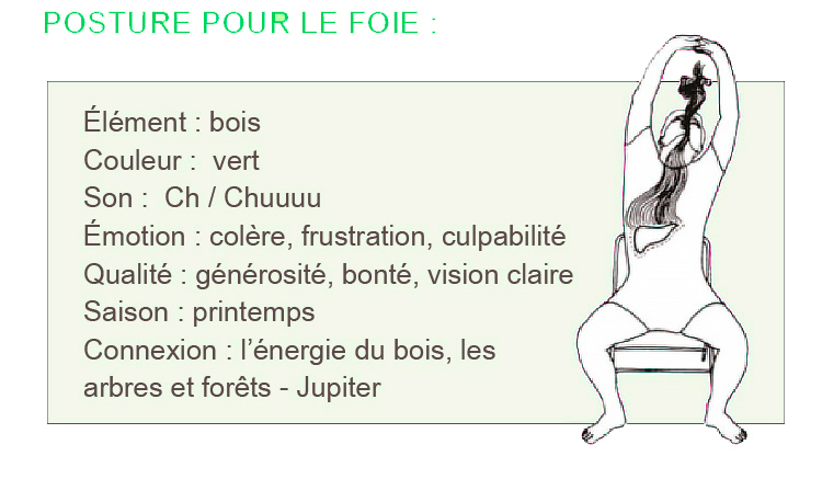 Posture-foie