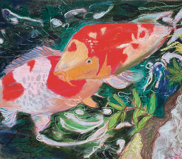 Le-duo-de-carpes-koi